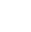 Phone Icon white